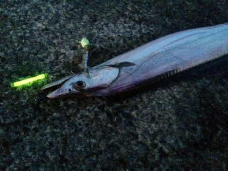 うーん、数が出ない。。。