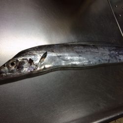 ん～、渋い。。。