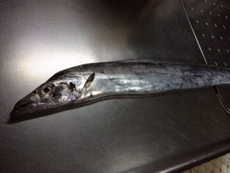 ん～、渋い。。。