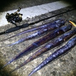 超爆風！タチウオ釣り