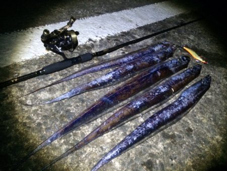 超爆風！タチウオ釣り