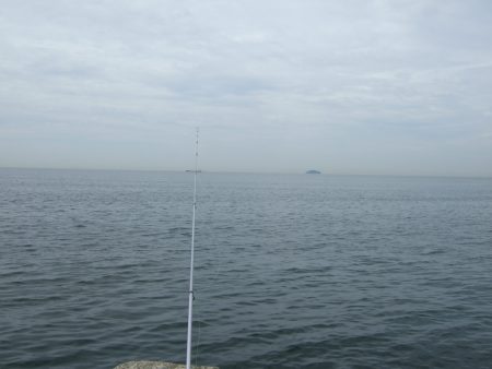 キス調査行ってきました。