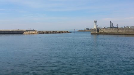 タコと小アジの予定が。。。