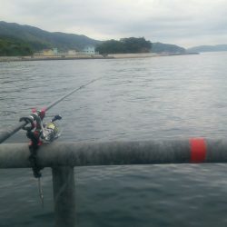 ダメダメでした…