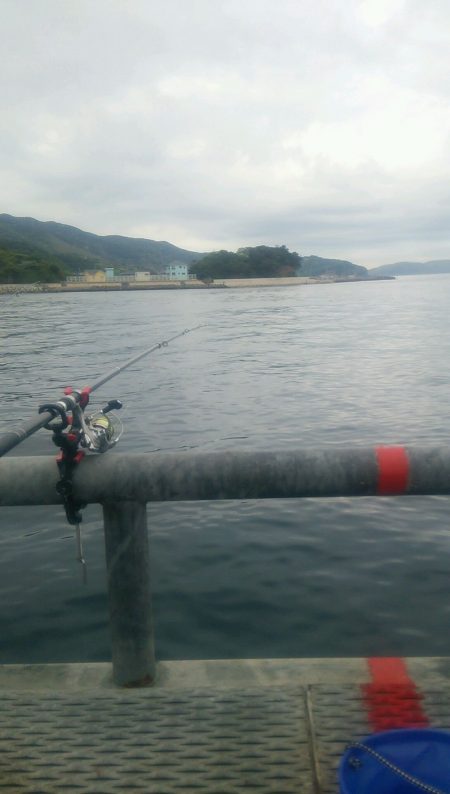 ダメダメでした…