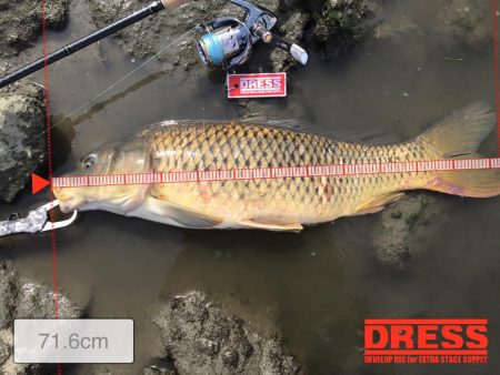 ドレパンEVOシーバス　その4