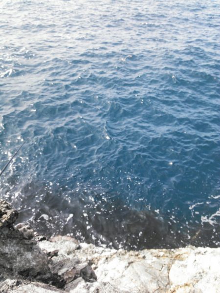 青物回遊りリベンジ！