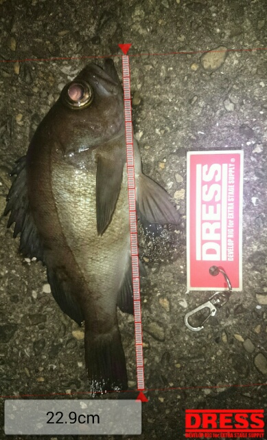 シーズンオフ？