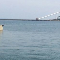 淡路島でお手軽キッシング！！