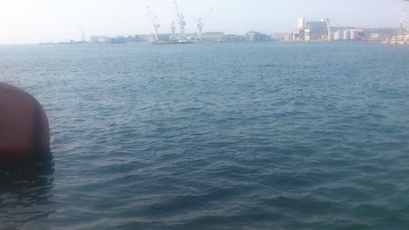 秋口サイズのアジGet!