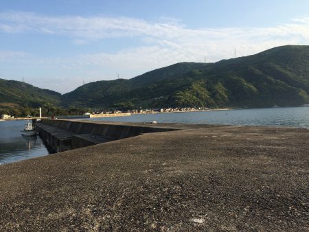 コウイカですか＞＜