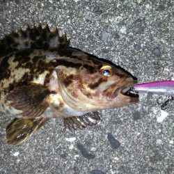 プラグ系縛り！