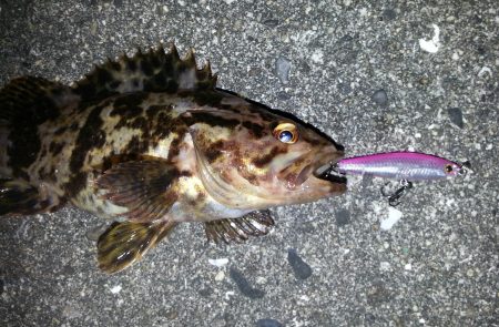 プラグ系縛り！