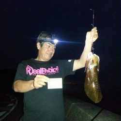 ひとつだけ……………。