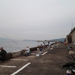 リベンジ釣行　なんとか1本