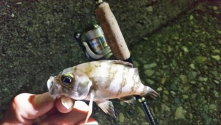 アタリは、あるのですが…