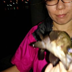 良型混じりの数釣り