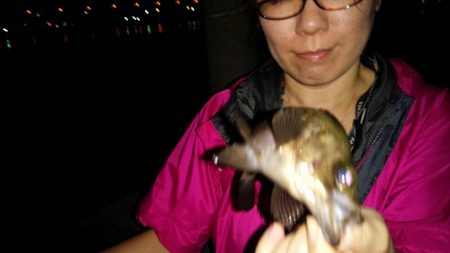 良型混じりの数釣り