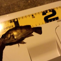 ﾀｲﾐﾝｸﾞ　悪い(>_<)