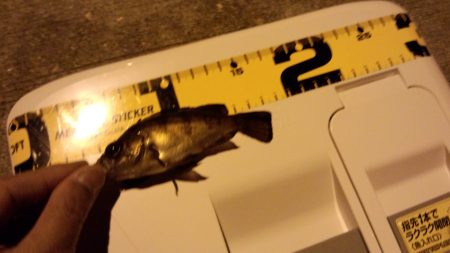 ﾀｲﾐﾝｸﾞ　悪い(>_<)