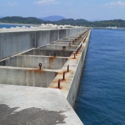 ヒラメ32cm・・ガシラ・22cm～16cm・・・