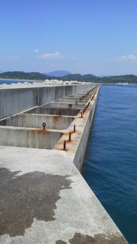 ヒラメ32cm・・ガシラ・22cm～16cm・・・