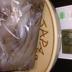 やっと釣れたー！