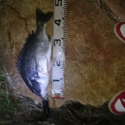 徹夜の結果・・・