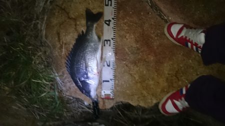 徹夜の結果・・・