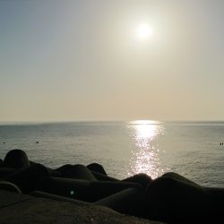 春シーバス釣行