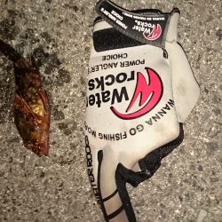 さすがゴールデンウィーク、めちゃ混んでます