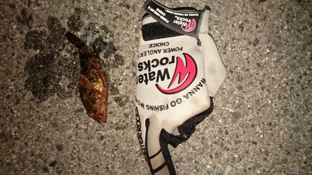 さすがゴールデンウィーク、めちゃ混んでます