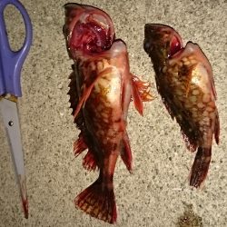 なんとかメバリングだよ