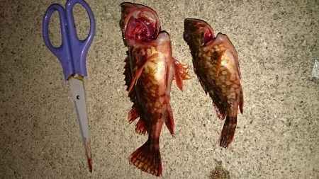 なんとかメバリングだよ