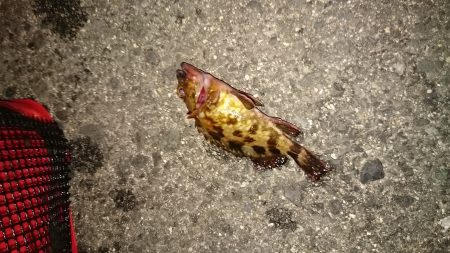 メバリングなんですけど