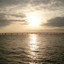 アタリ連発ですが、、、