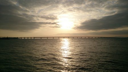 アタリ連発ですが、、、