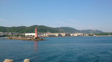 アオリイカ狙いでコウイカ釣れましたよ。