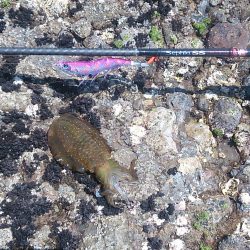 GWファミリーフィッシング