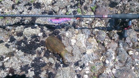 GWファミリーフィッシング