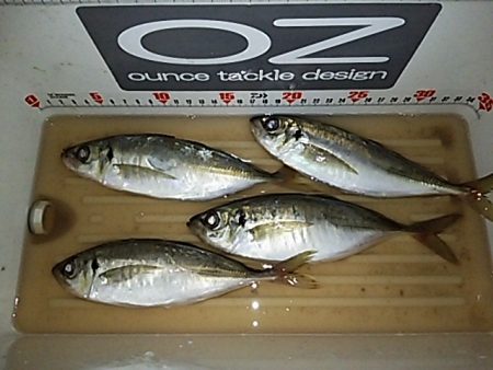 夕まずめの1時間