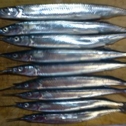 はじめての海釣り場