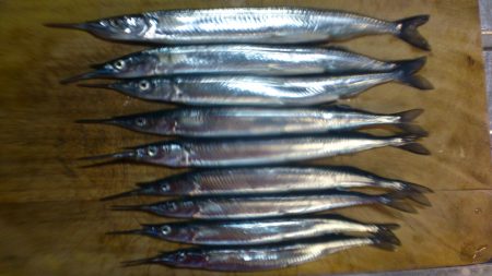 はじめての海釣り場