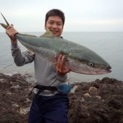 磯からブリゲット