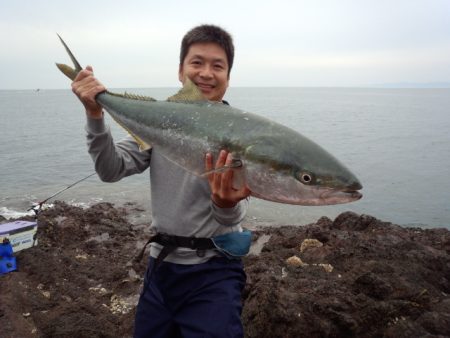 磯からブリゲット