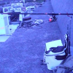 釣り友と～～～