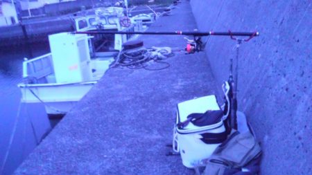 釣り友と～～～