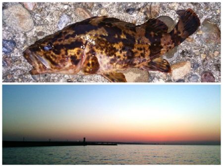 メバルはお留守でしたorz