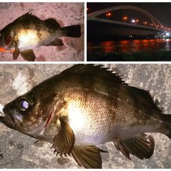 メバリング！！！！