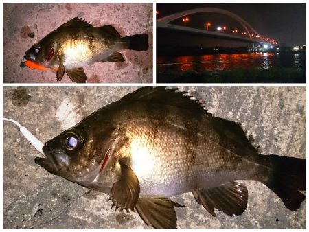 メバリング！！！！